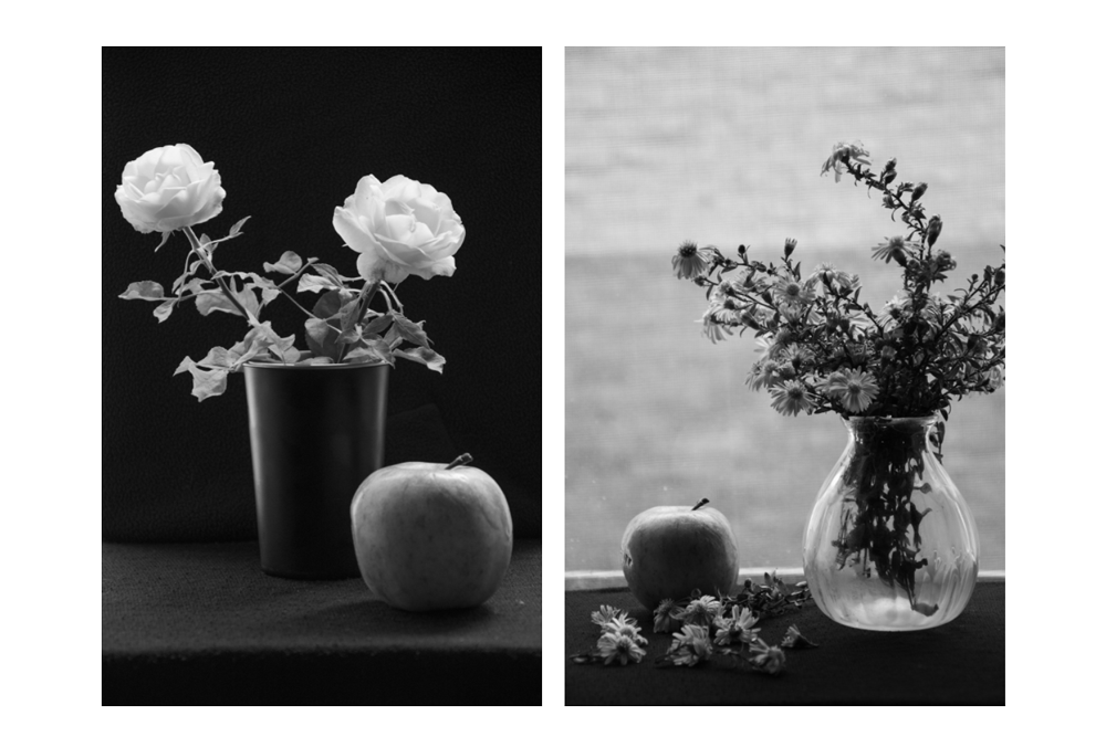 hbgraphics fotografie inspirace sudkem